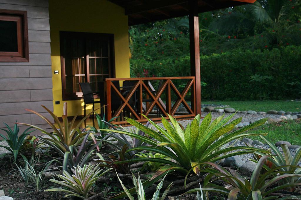 Oasi Appartement Cahuita Kamer foto