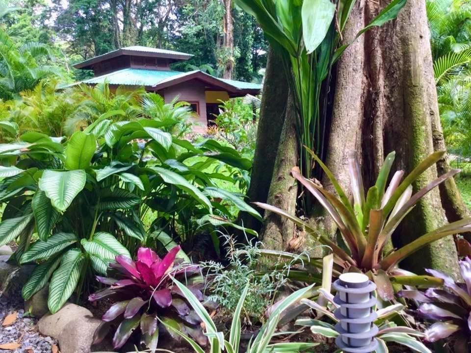 Oasi Appartement Cahuita Buitenkant foto